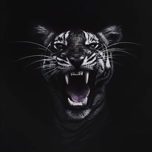 Meet your Posher, Miguel